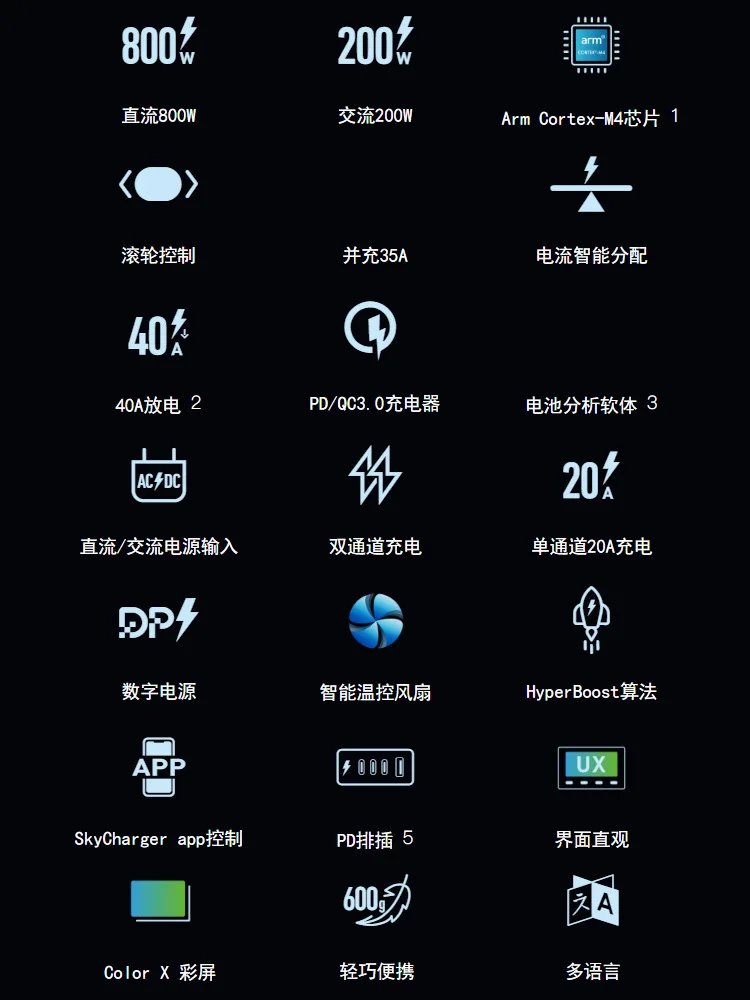 SKYRC D200NEO Dual Channel Intelligent Balance Charger AC200W DC800W 20A 2-6S Model Aircraft