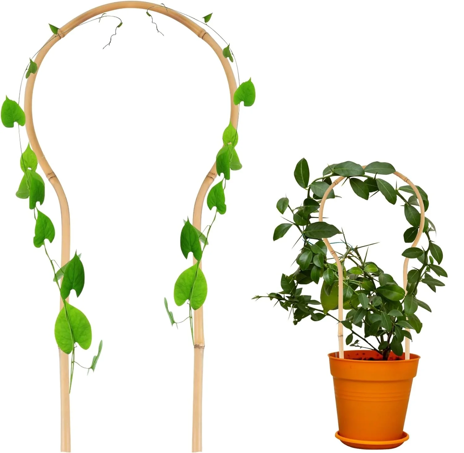 6pcs/set Bamboo Trellis for Climbing Plants Climber for Potted Houseplants Rose Pothos Monstera Indoor Outdoor