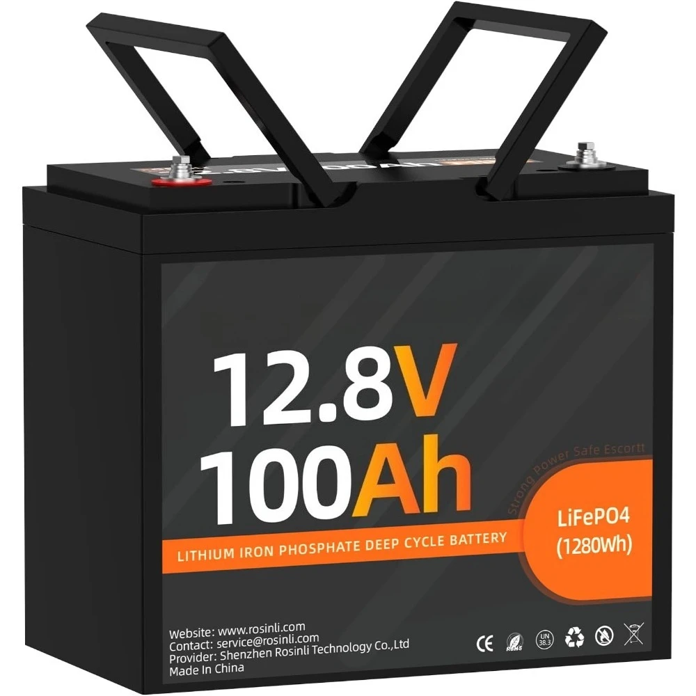 

12V 100Ah Mini LiFePO4 Battery, Smaller than Group 24 Built in BMS, 4000-15000 Deep Cycles, 10-year Lifetime for RV, Trolling