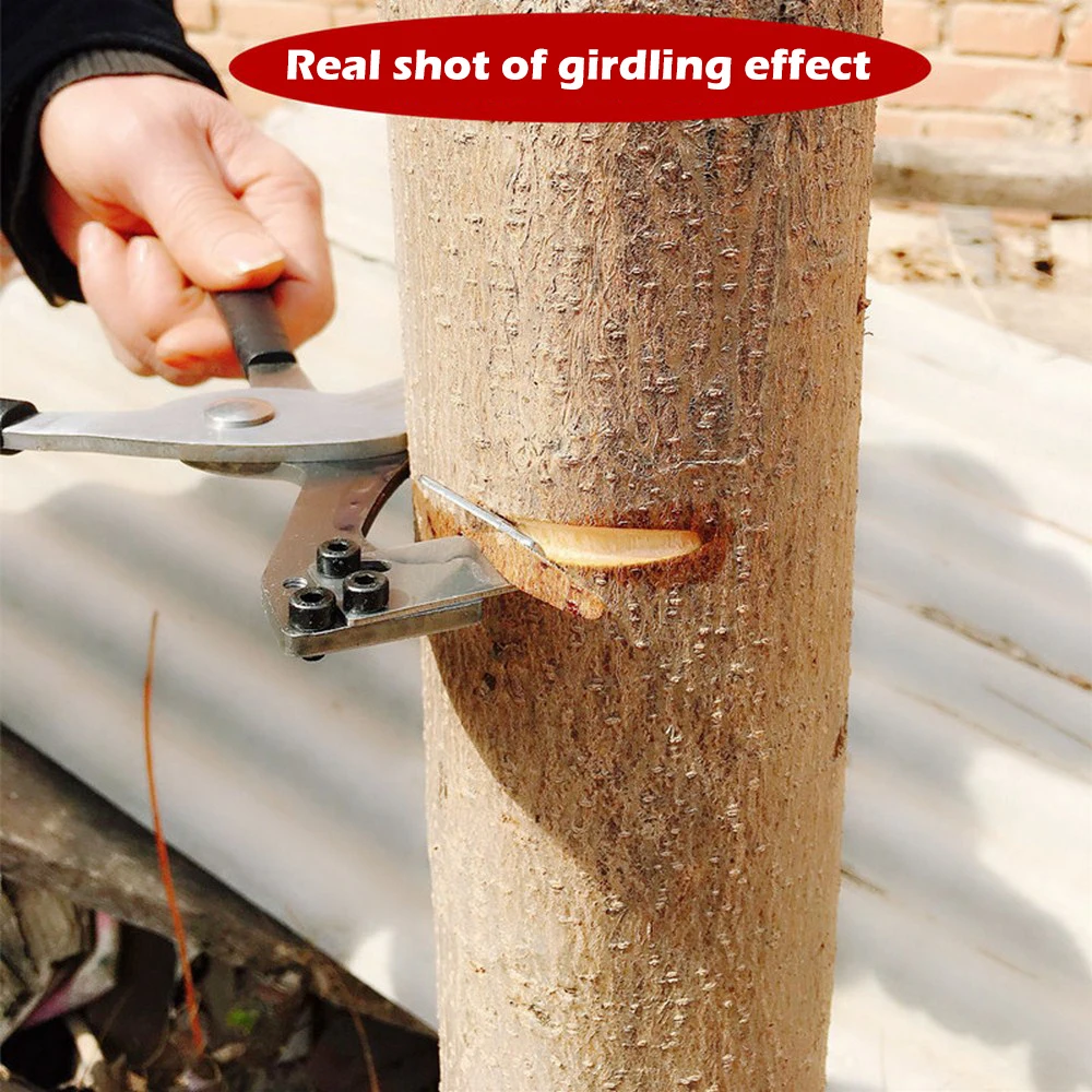 

Jujube Tree Ring Stripping Tools Fruit Tree Ring Stripping Pliers, High Hardness Peeling Knife, Cutting Bark, Cutting Shear,