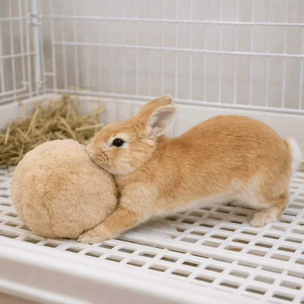 Bite Resistant Rabbit Soothing Ball Simulated Rabbit Buttocks Pet Chewable Ball Comfortable Soft Rabbit Venting Ball