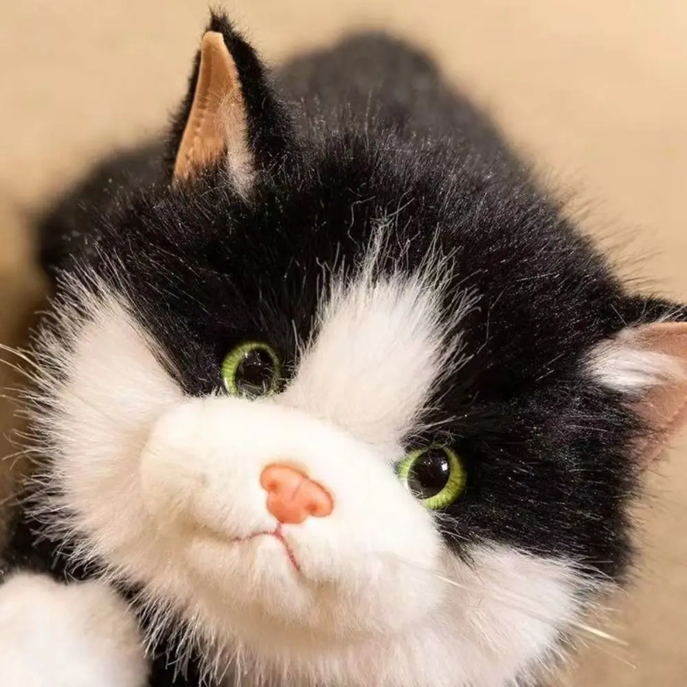 ตุ๊กตาแมวนุ่มนิ่มน่ารัก เสียงเหมือนจริง ของเล่นตุ๊กตาแมวขนฟู ของตกแต่งบ้าน