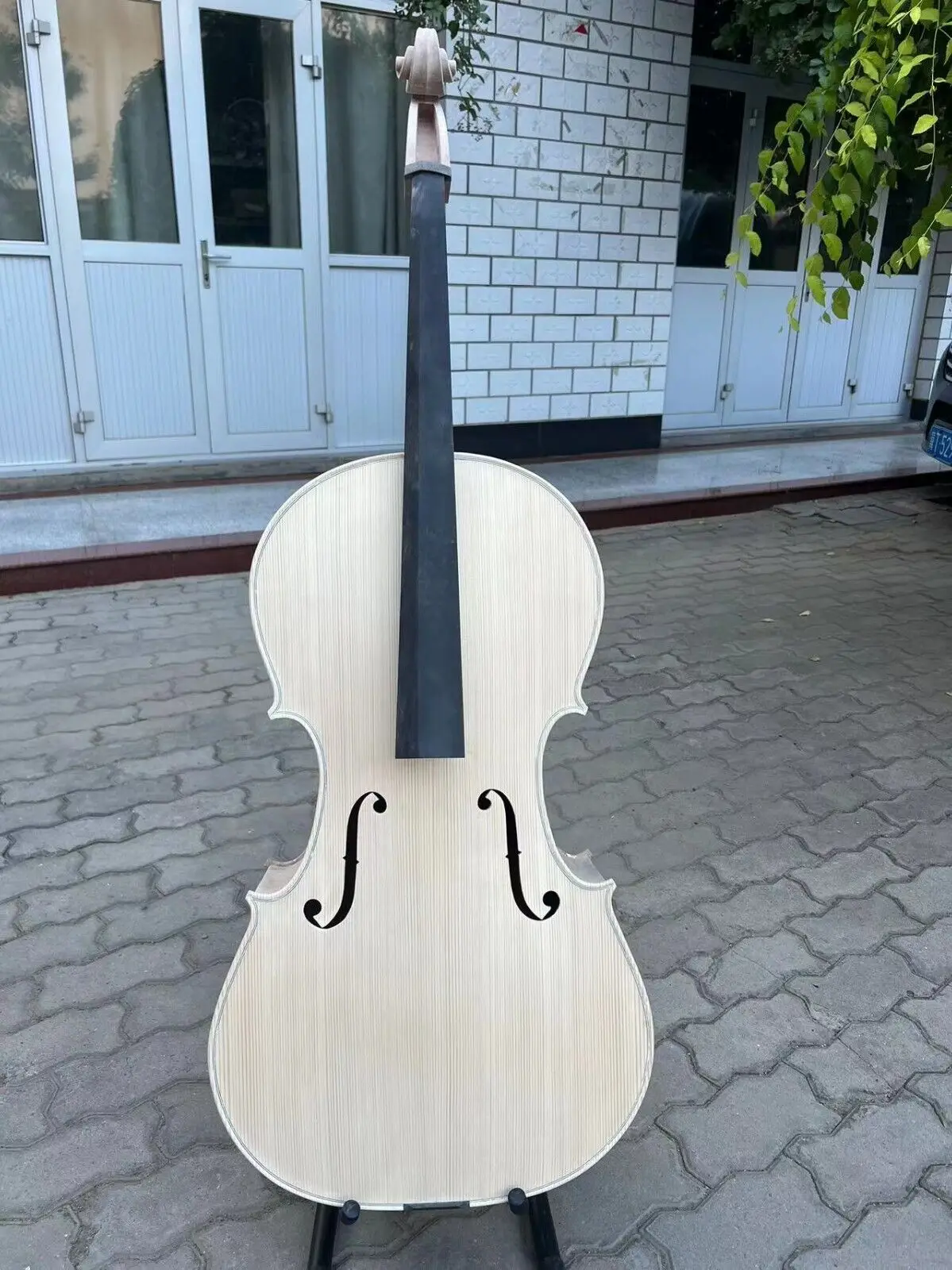 Professional song white Cello 4/4 Solid Bird's eye maple back old spruce top