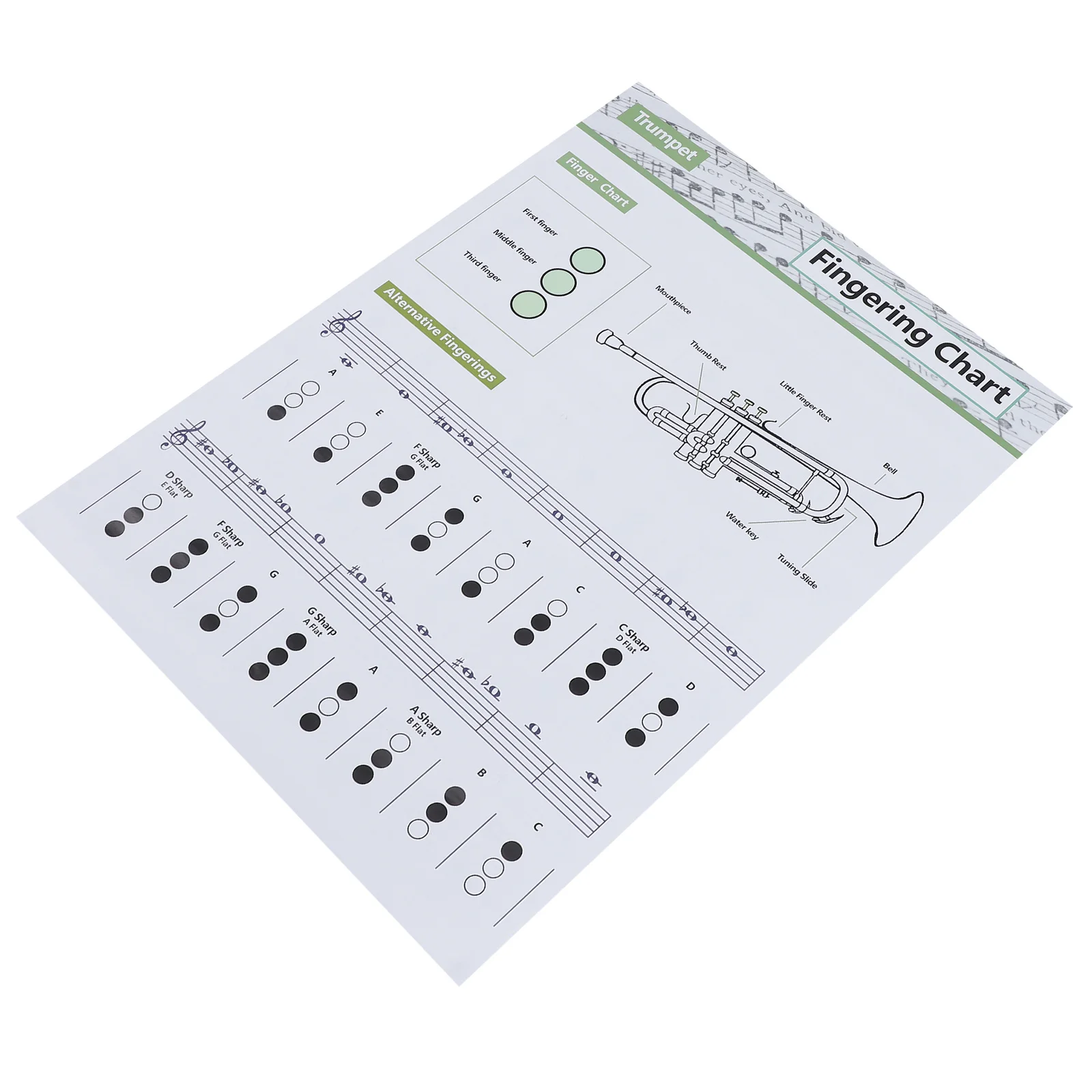 

1pc Trumpet Chord Diagram Coated Paper Assorted Colors Clear Printing Practice Chart For Beginners Trumpet Training Guide