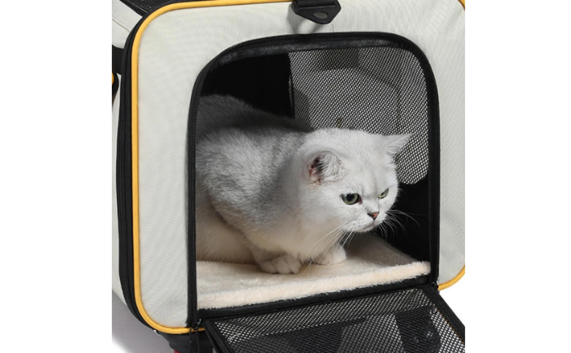 Collapsible Pet Trolley Carrier Rolling Soft-Sided Pet Trolley Top Carry Handles Breathable Collapsible Pet Trolley Carrier Rolling Soft-Sided Pet Trolley Top Carry Handles Breathable