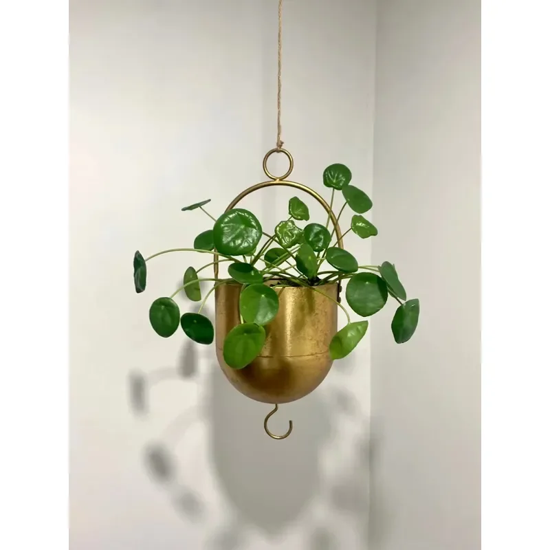 for Elegant Gold Iron Hanging Wall Planter Triple Tier Indoor Plant Pot Holder Modern Vertical Garden