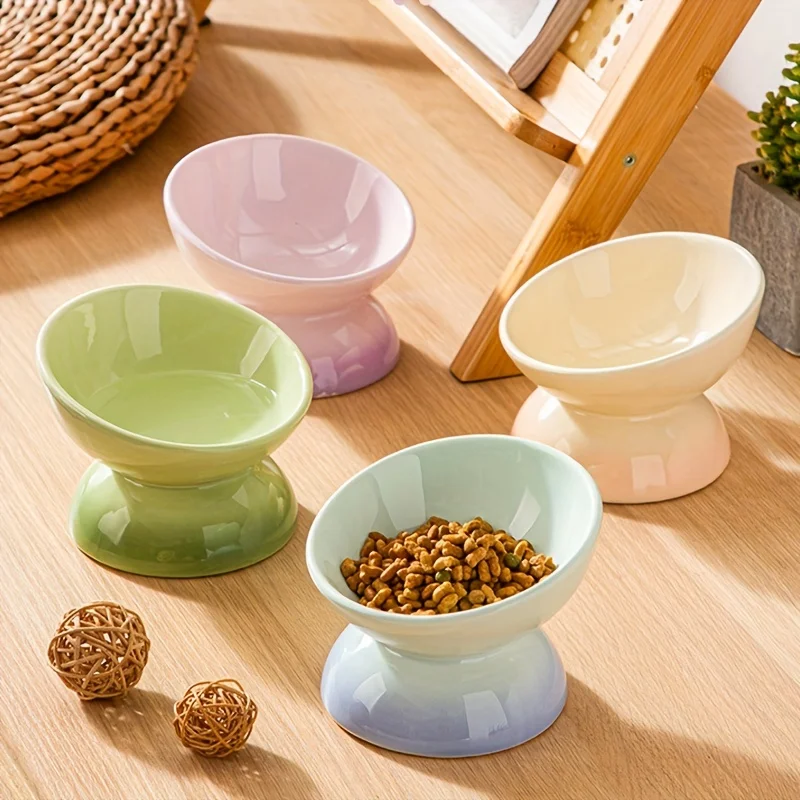 #11 Latest Pet Bowl Stands Updates