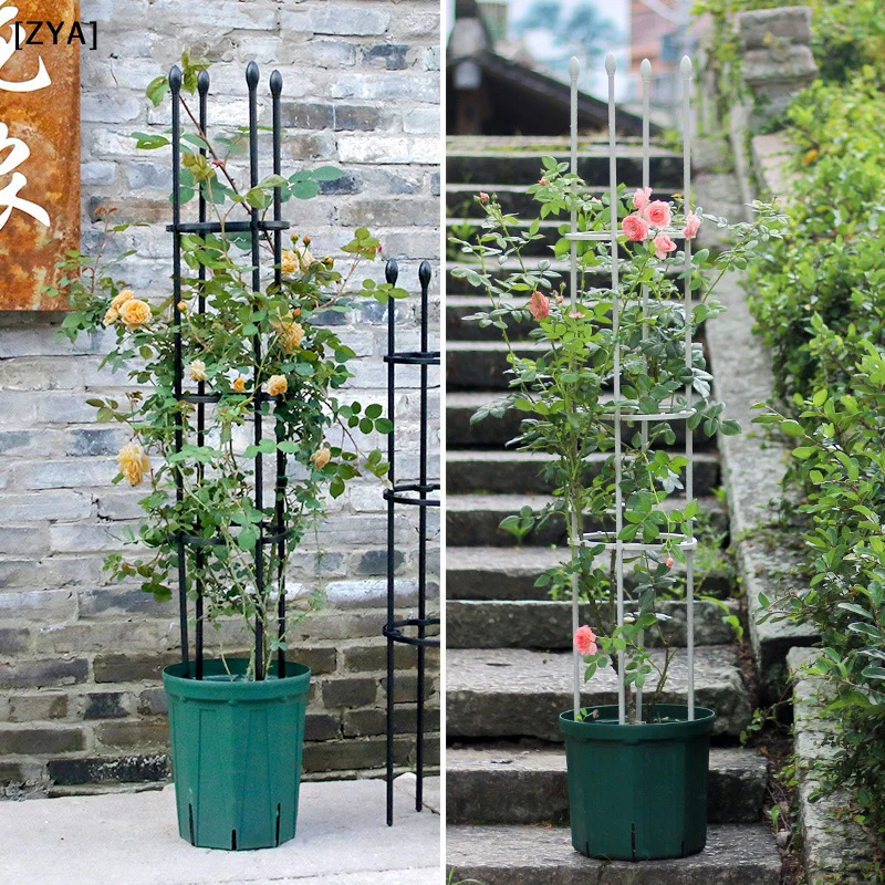 1Set Plant Support Cages Tomato Cages For Climbing Plants Garden Stakes Tomato Vine Cages Supports Trellis Garden Supplies[ZYA]