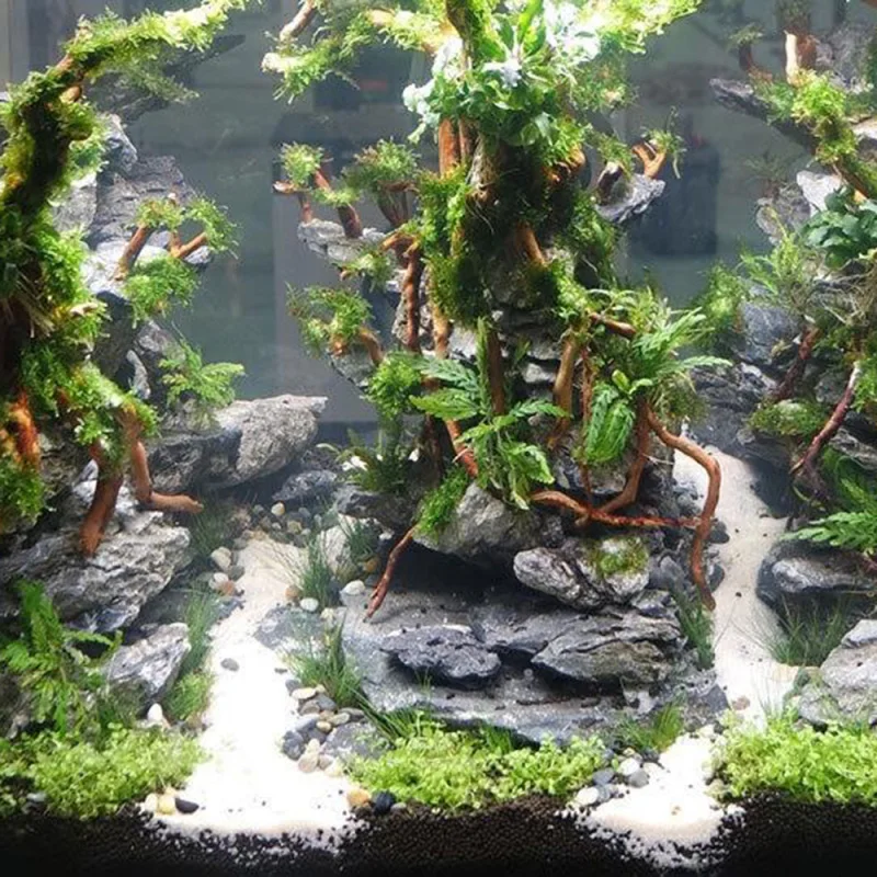 Natural Driftwood Root Trunk Tree for Aquarium Micro Landscape DIY Home Fish Tank Ornament Supplies