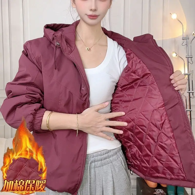 Nowa, gruba kurtka z kapturem w stylu koreańskim, modna, luźna kurtka, uniwersalny kardigan, top, rok 2025.