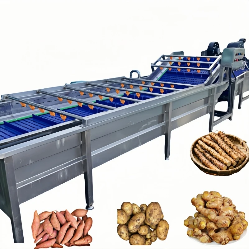 

Hot Sell New Style Bubble Cleaning Machine for Fruit Vegetables Meat Clean Equipment Impurity Remove Bubble Spray Clean Machine
