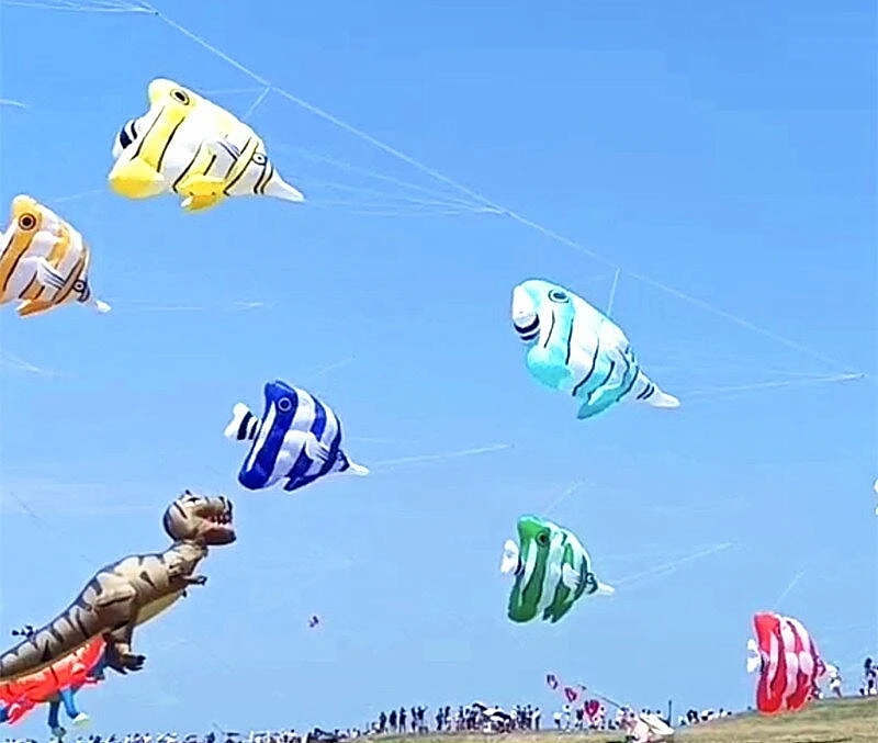 Envío Gratis, pipa de pescado para niños, juegos al aire libre, pipa de dragón, juego al aire libre, carrete de pipa ripstop, accesorios para pipa, palancas de gel, kitesurf