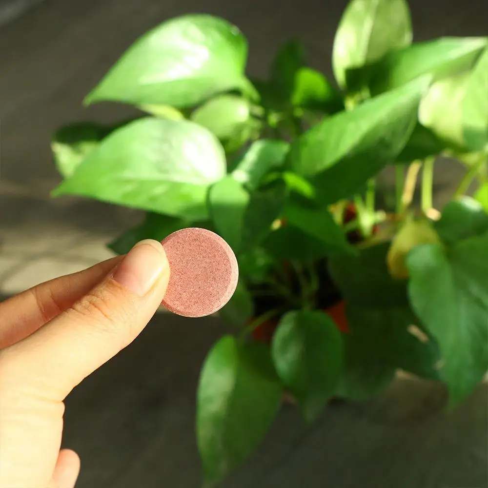 

Phosphorus Organic Fertilizer Potassium Speed Up Plant Nutrition Tablets Growth Slow Release Agent Plants Potted