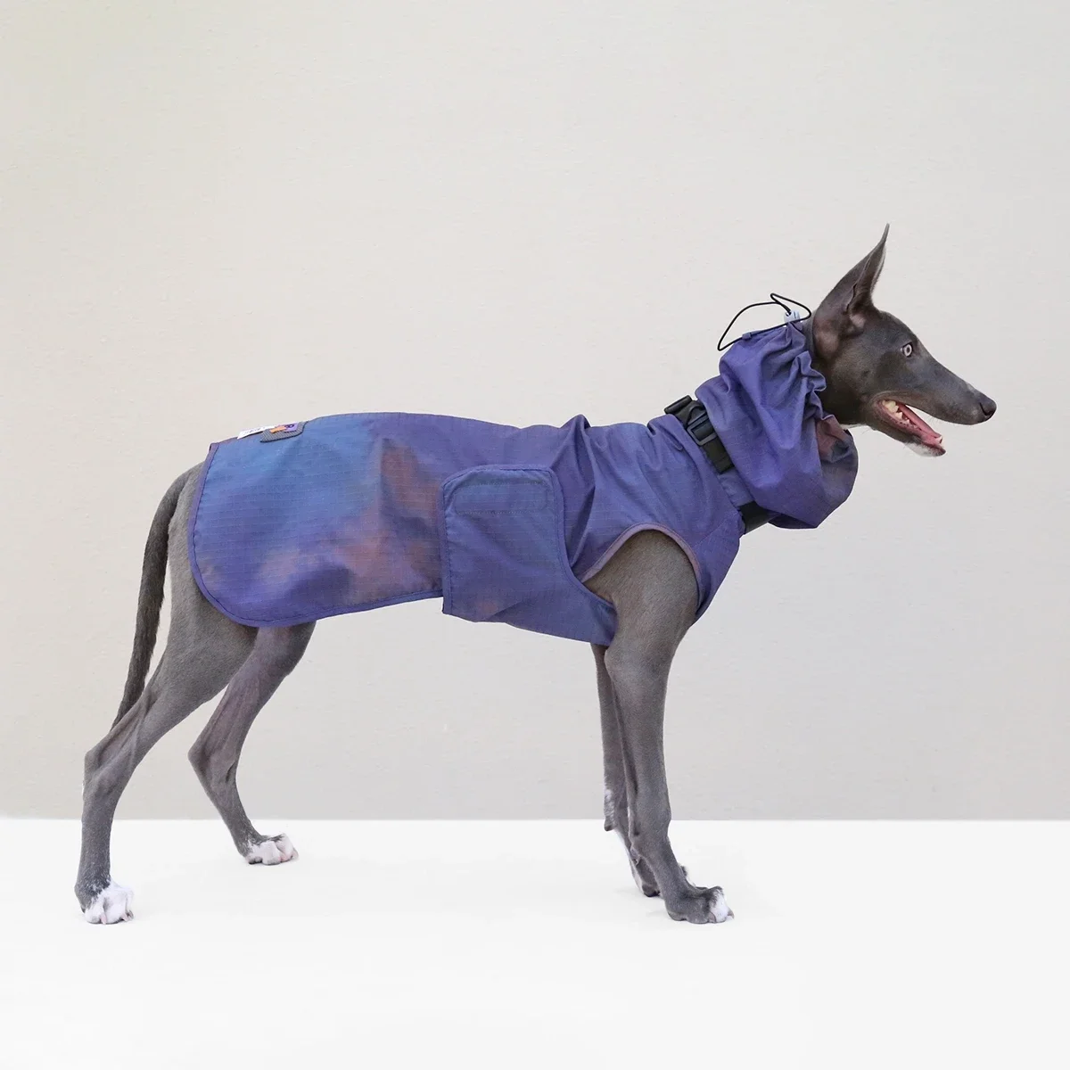 Trendy Tie Dye Dog Jacket, Waterproof Wind Resistant Puppy Coat with Hood, Fashionable Outdoor Windbreaker for Large Dogs