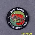 PE10312CT