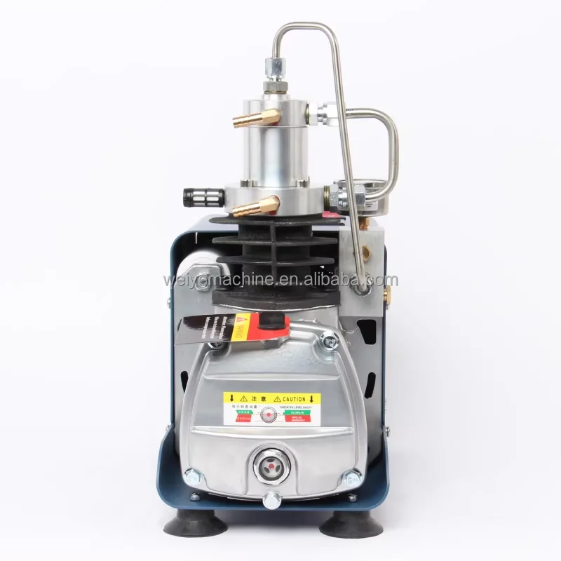 Simplified Version Compressor PCP 300bar Compressor for Paintball Game Outdoor Hunting with Filter 4500psi Electric Pcp air Pump view 3