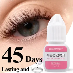 5ml Black Eyelash Extension Glue Waterproof Long Lasting Quick Drying DIY No-irritant Semi-Permanent Grafted False Eyelash Glue