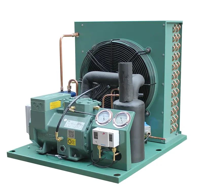 

Monoblock Refrigeration Unit Cold Room Compressor Condensing Unit And Evaporator All In One For Walking In Storage Room