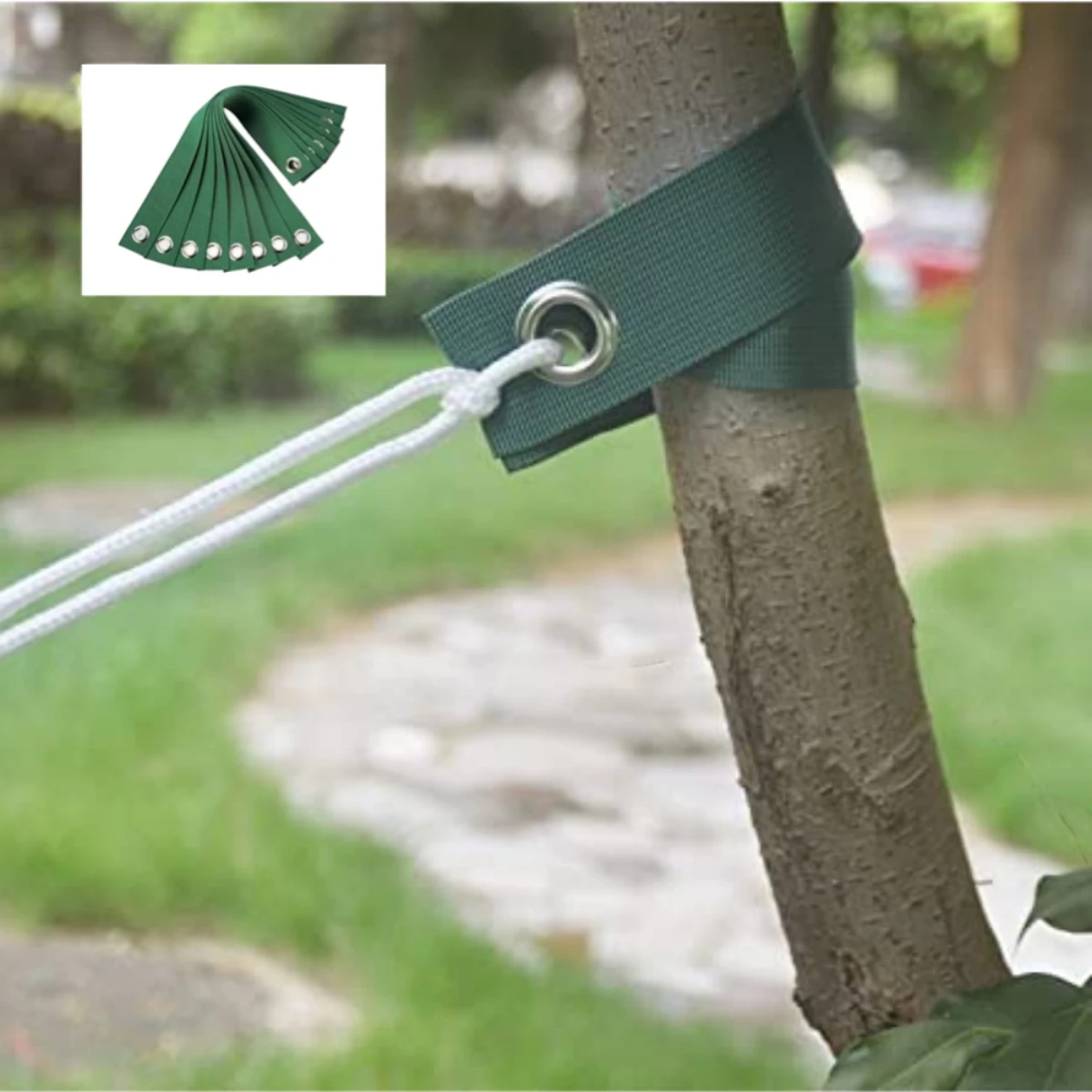 Windproof tree belt, tree nursery, newly planted seedlings, hurricane resistant shaping belt, plain ring, air eye fixing strap