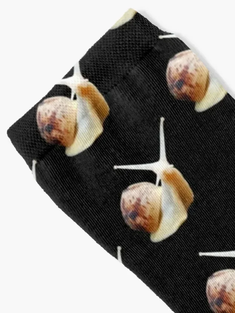 albino giant african land snail photo Socks Heating sock men cotton high quality Socks Men Women's