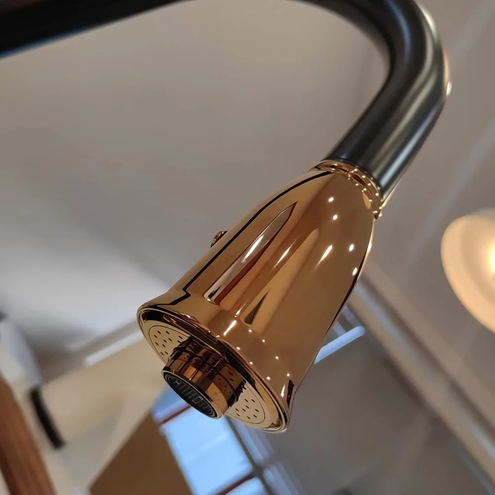 Rakitan Kepala Semprot Pengganti Keran Dapur Baja Tahan Karat untuk Model F-529, Desain Tahan Lama dan Awet