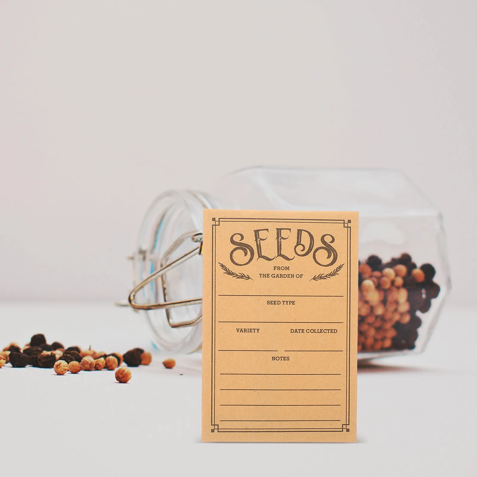 

50Pcs Seed Packets Envelopes Sturdy Paper Material for Storage Compact Lightweight for Planting Seasons Gardeners