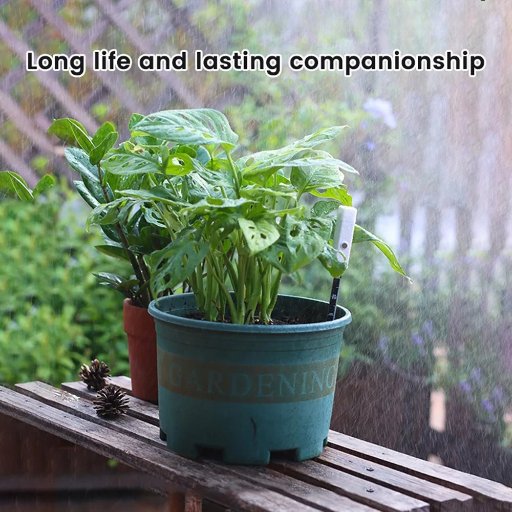 2 Stuks Voor Tuin Gazon Potpla - Smart Garden Moisture Sensor recensie en prijs