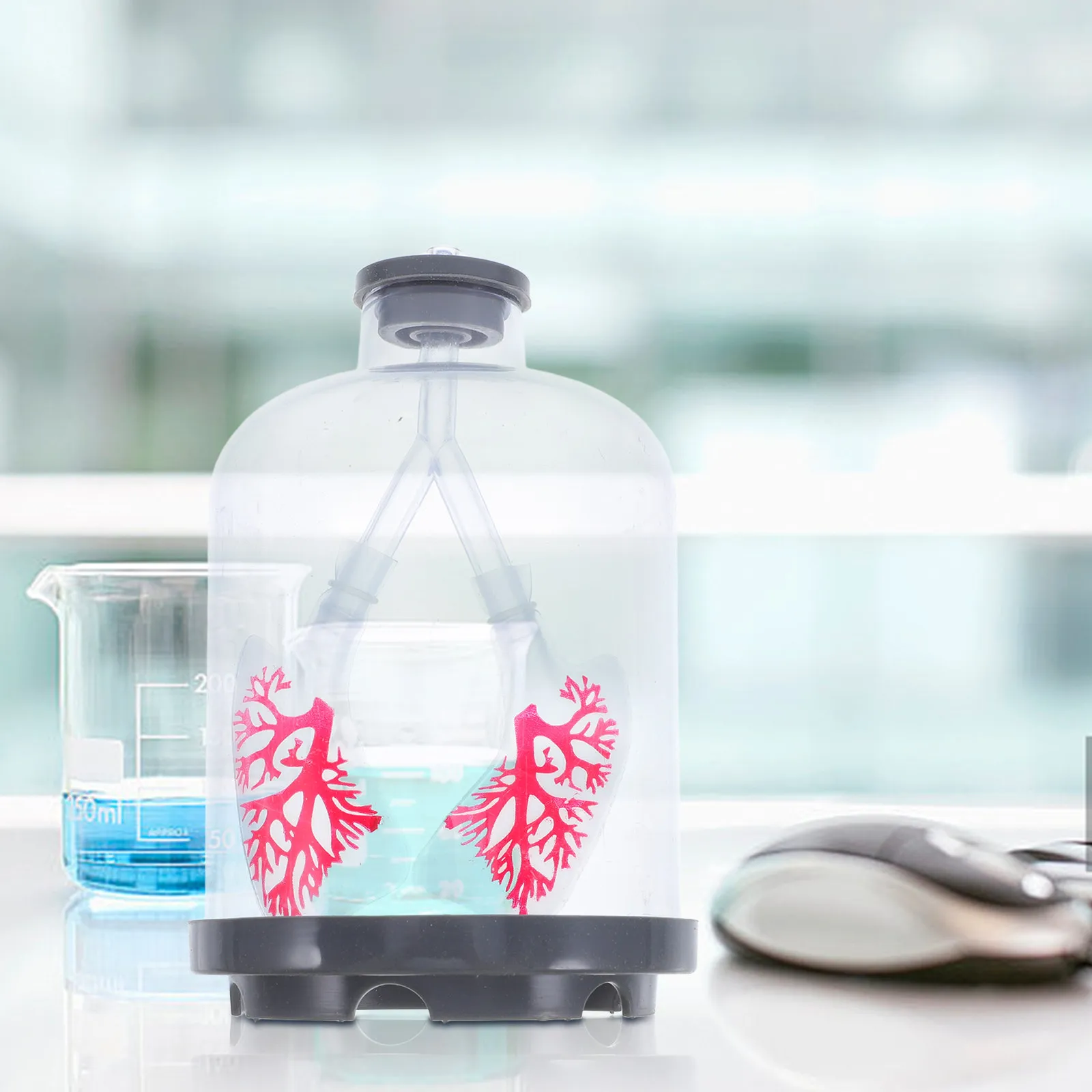 生物学実験用の肺呼吸教育デバイス。横隔膜の動きをシミュレーションし、リアルな人間の肺の構造を再現。調整可能。
