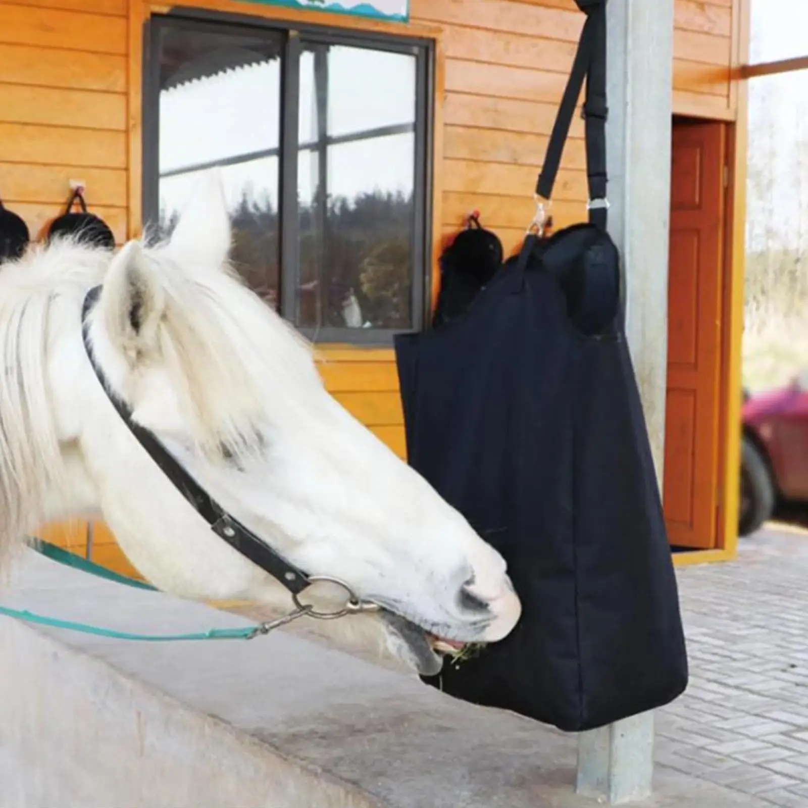 Sacchetti per mangiatoia per fieno di cavallo borsa per fieno a mangime lento borsa per balle di fieno per Patio