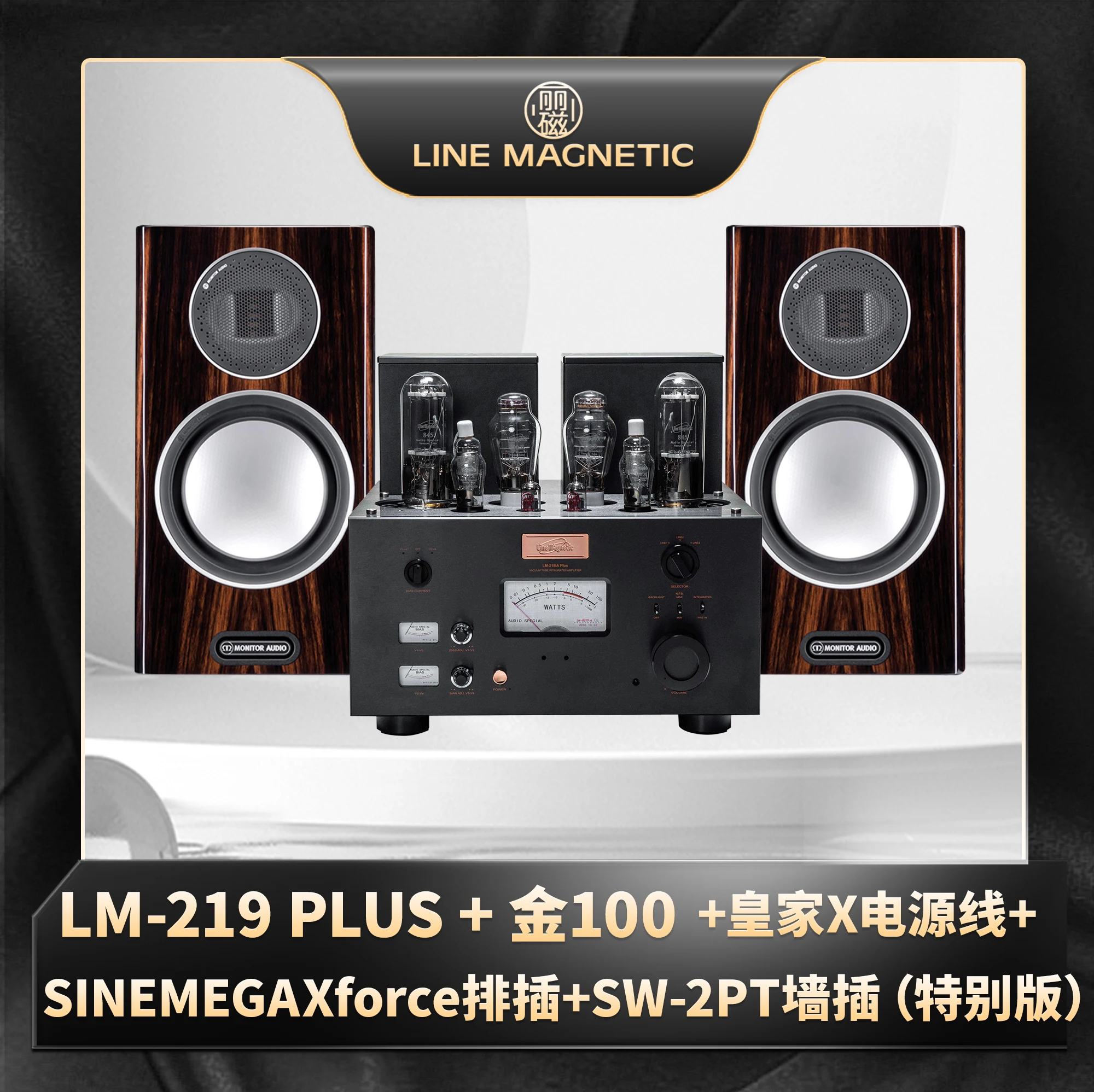Lici LM-219IA PLUS + Gold Ensemble combiné audio machine 100 gallons