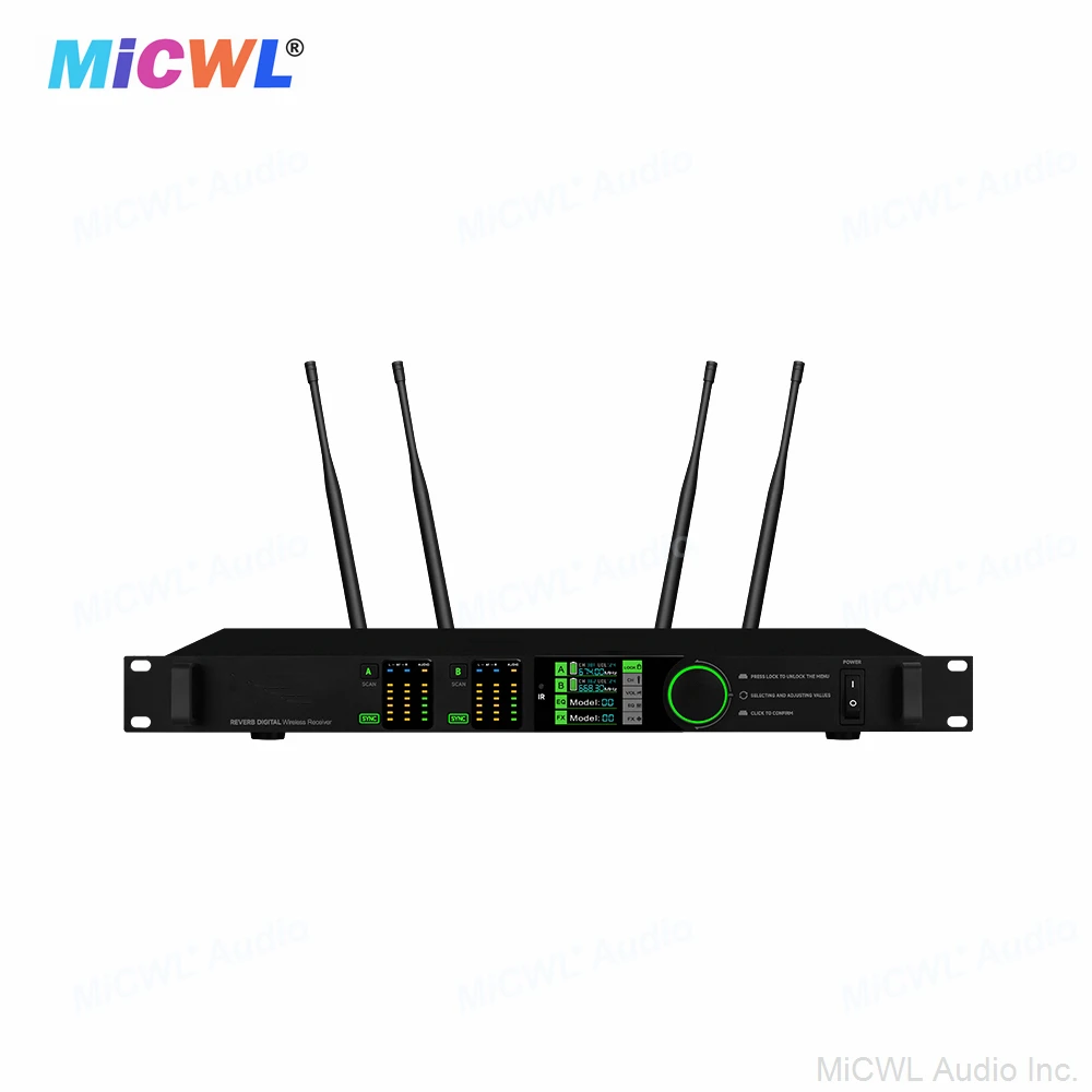 MiCWL D2000 2-Channel Digital Wireless DJ Karaoke Microphone System Built-in EQ Equalizer LED ECHO Sound Processor Stage Live