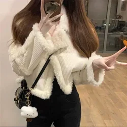 French Fashion New Fall Winter Soft Wool Fur Coat for Women Faux Fur Short Thick Warm Short Jacket Loose Corduroy Plush Cardigan