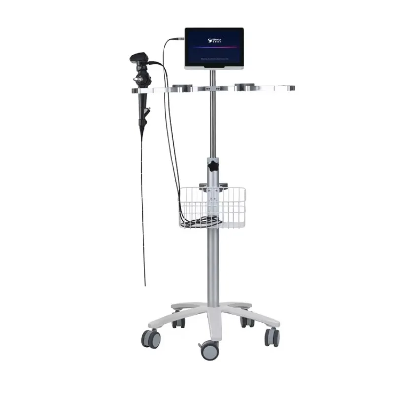 Factory Price Endoscopes Video Endoscope Camera Veterinary Gastroscopy Colonoscopy  Clinic Hospital Pet Endoscopy