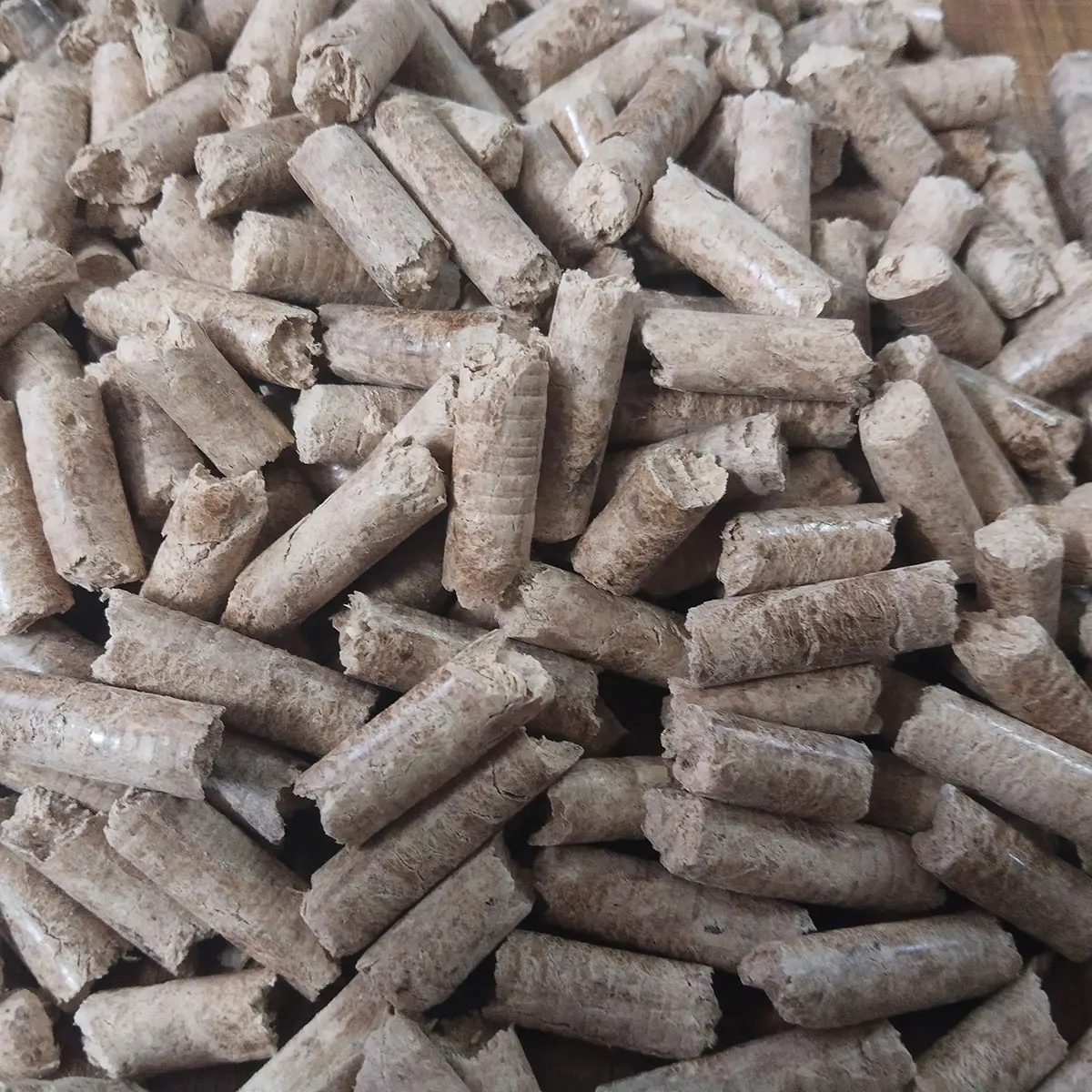 الكريات الخشبية مطحنة بيليه آلة عالية الكتلة الحيوية الصغيرة الوقود الكريات الخشبية صنع آلة مطحنة