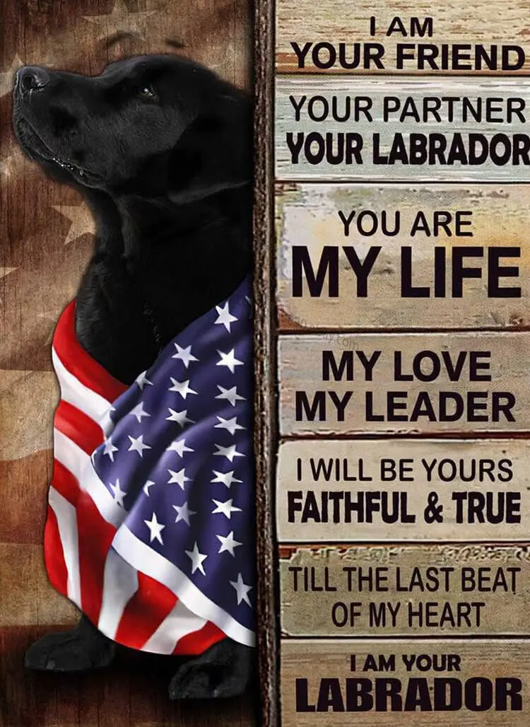 Funny Metal Sign American Dog, Black Labrador Dog - I Am Your Friend, Your Partner Wall Art Coffee Tin Signs Vintage Kitchen Wal