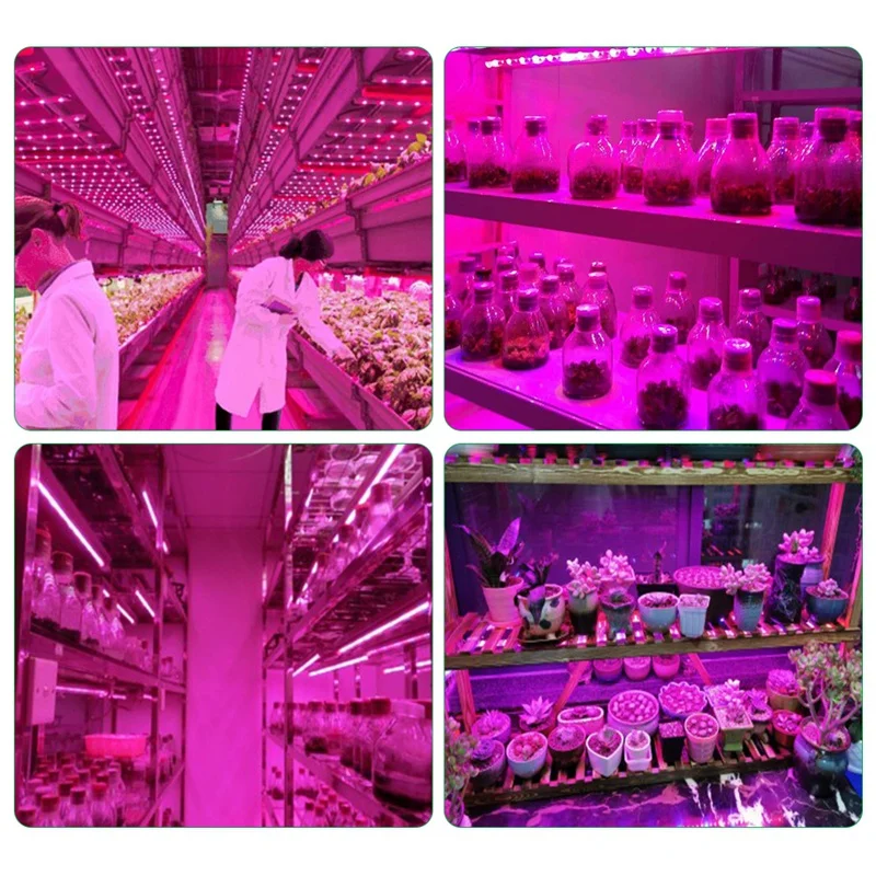 AB09-LED Coltiva la luce Spettro completo 5V USB Coltiva la striscia luminosa 2835 LED Phyto Lampade per piante Serra Coltivazione idroponica