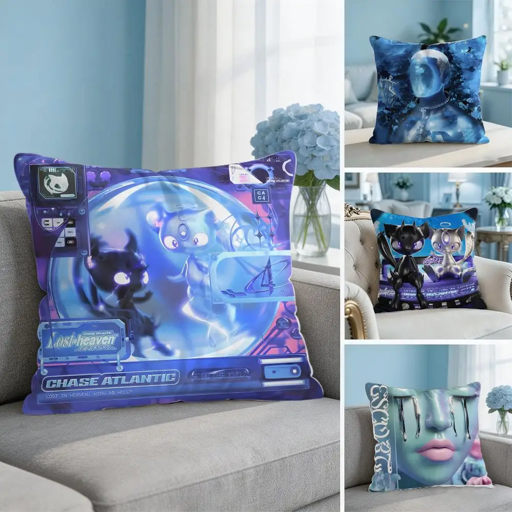 Band C-Chase A-Atlantic Cushion Cover Soft Short Plush Throw Pillow Cover Hidden Zipper Cutecore Sofa Bedroom Home Decor