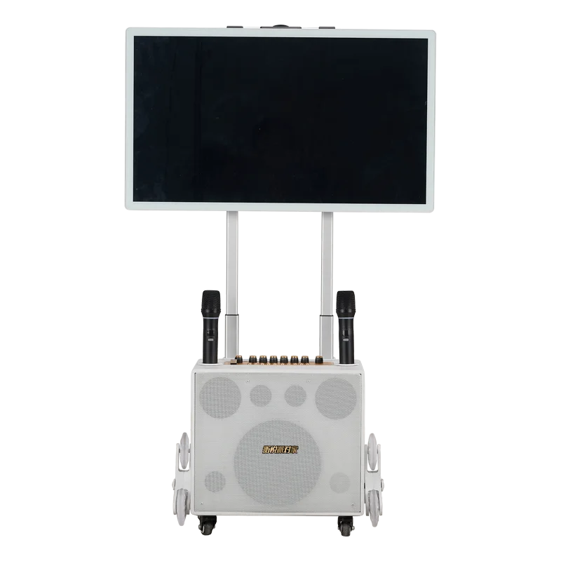 2023 new Portable Speaker android system wireless speaker bluetooth  wifi speaker with microphone karaoke machine karaoke player