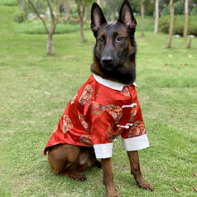 New Year Big Large Dog Clothes Tang Suit Cheongsam Corgi Belgian Malinois Border Collie Husky Labrador Golden Retriever Clothing