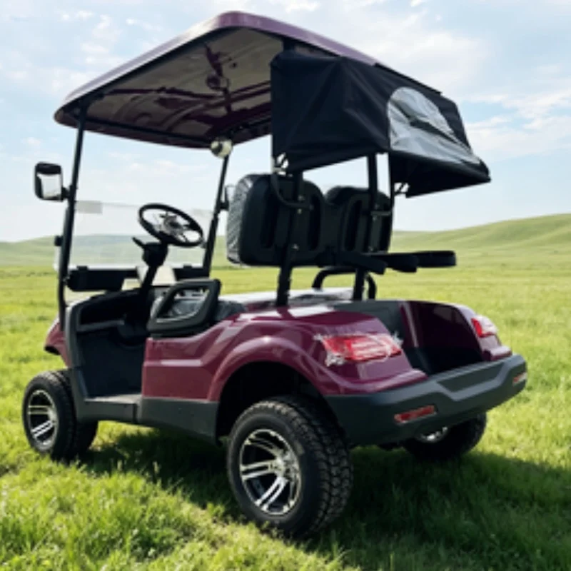 Design New Energy Electric Golf Cart Club Golf Cart Manufacturer With 12-Inch Off-Road Tires Side Mirror With Turning Light