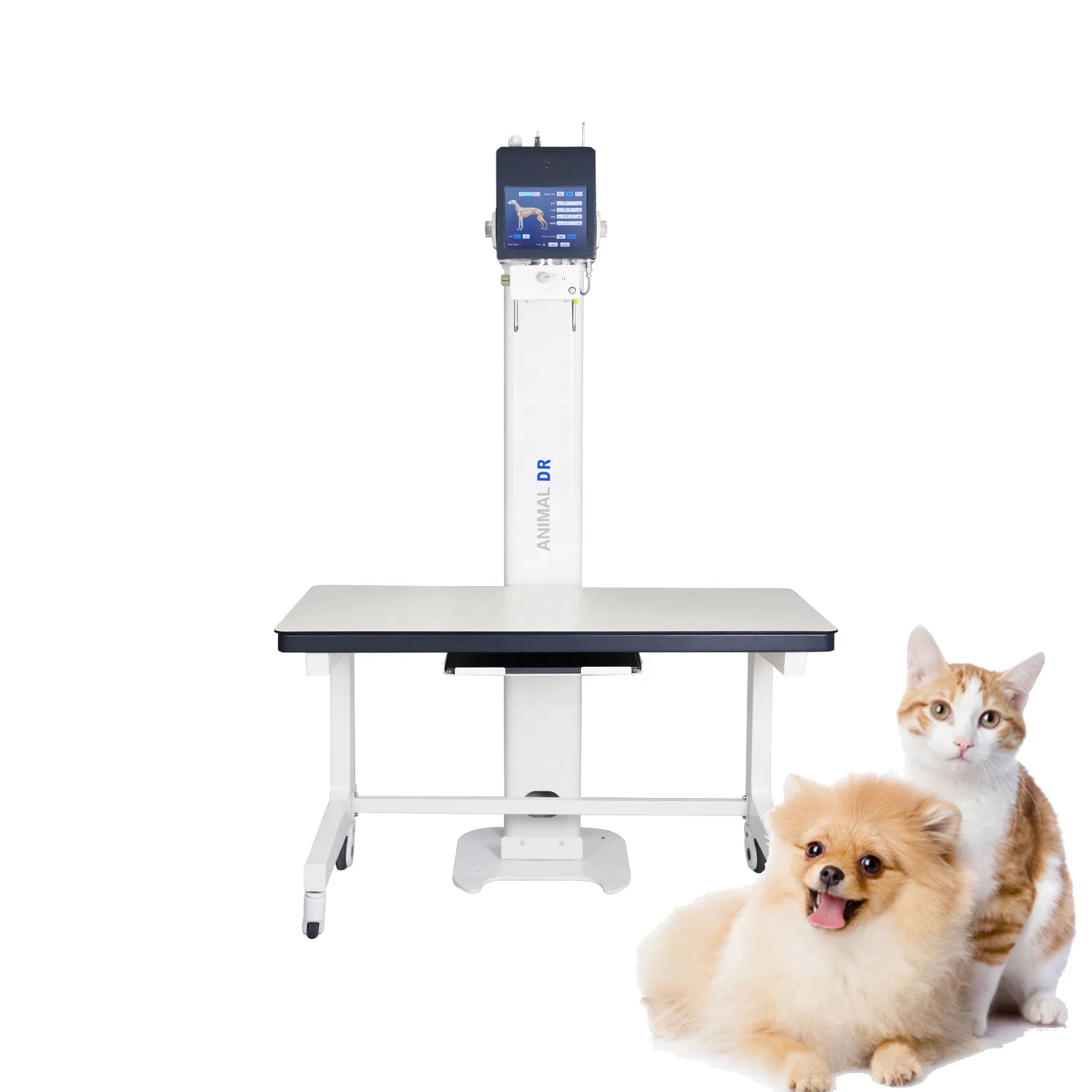 Vericare DRV-5V digital X-ray radiographic equipment digital DR machine for pet clinic