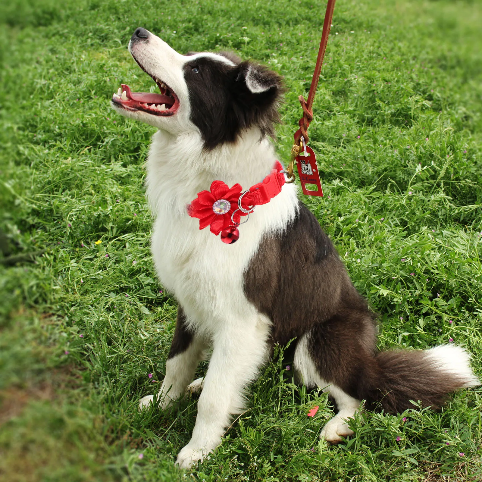 

4 Pcs Pet Flower Collar Adjustable PVC PP Cartoon Decoration for Dog Cat Parties Holiday Photos D Ring Leash Connection Bright