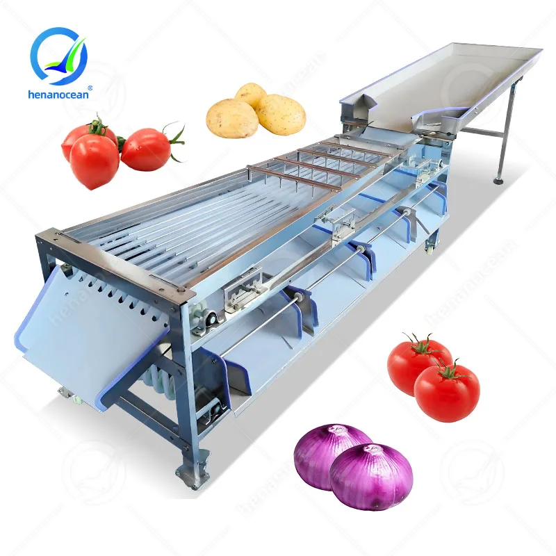 Automatic Commercial Industrial Factory Sell Onion Orange Tomato Fruit Vegetable Grader Machine Sorter