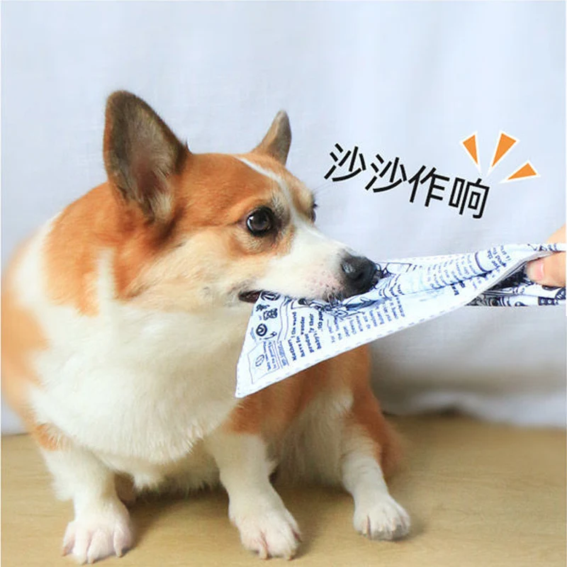 Newspaper dog toys Funny  Paper rubbing sound Small medium chew dog toys Bite resistant Tissue replacement dog Clean teeth toys