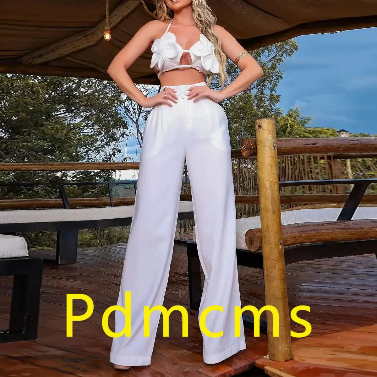 

2025 new model, solid color neck halter strap split two-piece set, wide-leg long pants set, summer casual fashion
