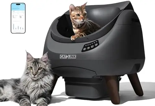 Open-X Open-Top Automatic Litter Box, Large, Multi-Cat, Grey | Always-Open Safe Exit, 2.4G & 5G WiFi, AI Waste