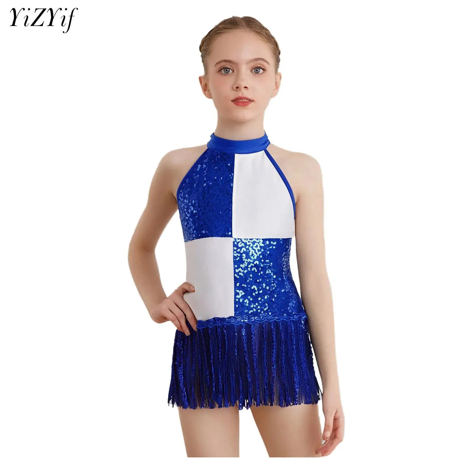 

Kids Girls Tassel Latin Dance Leotard Dress Rhinestone Bodysuit Ballet Gymnastics Figure Skating Performance Costume Dancewear