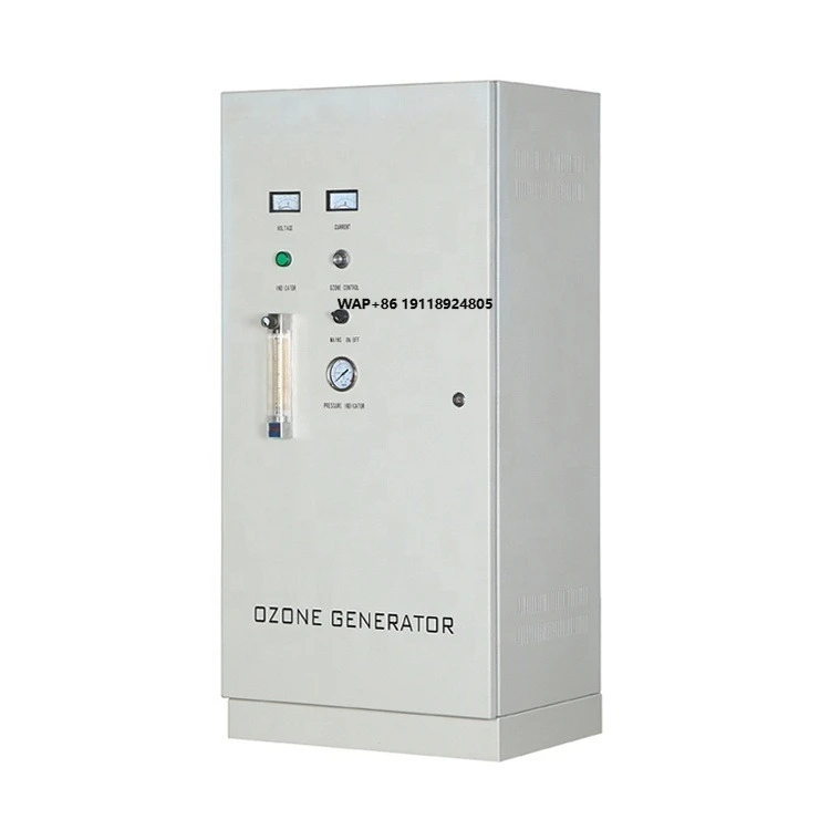 Swimming Pool Water Treatment Water Treatment 25g Ozonator Disinfect Water Cleaning System