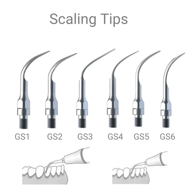 Le punte per scaler dentale in acciaio inossidabile VV si adattano ai strumenti metallici per la pulizia e lo sbiancamento dei denti con manico di marca KAVO