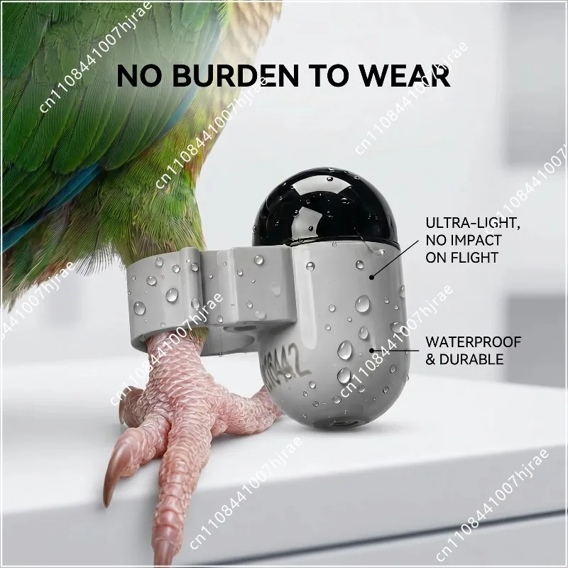All-weather bird sports with a 2.2g subscription-free altitude-maintaining GPS system for pigeon training